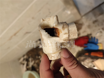 汪场镇自来水管道漏水检测