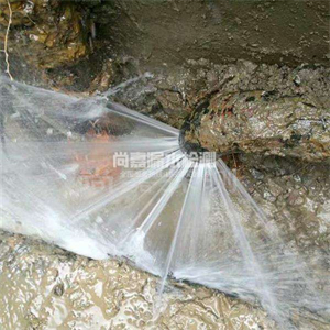 汪场镇消防管道漏水检测